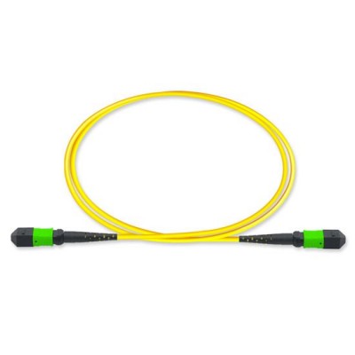 MTP to MTP 8 Fiber OS2 Singlemode Type-B