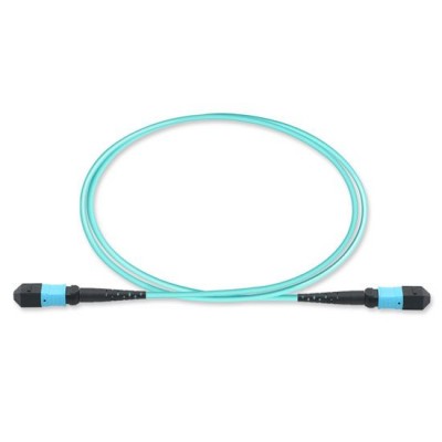 MTP to MTP 8 Fiber OM3 Multimode Type-B