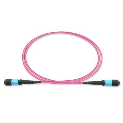 MTP to MTP 8 Fiber OM4 Multimode Type-B